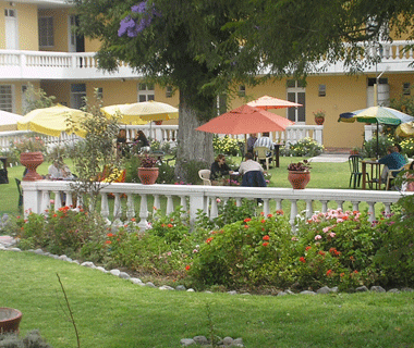 Our main garden
